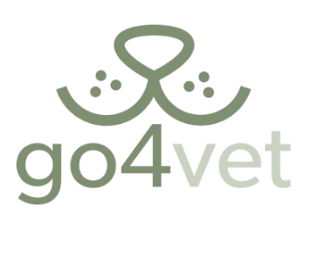 Bild der Organisation