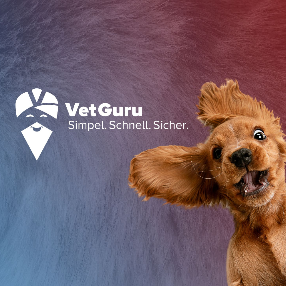 Bild des Benutzerprofils