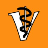 Bild des Benutzerprofils