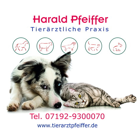 Bild des Benutzerprofils
