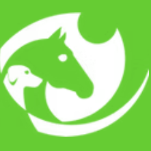 Bild des Benutzerprofils