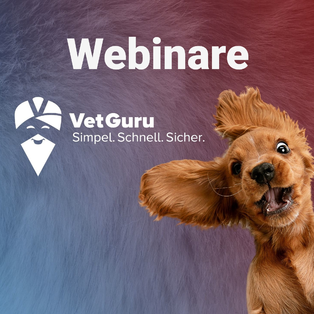 Bild des Benutzerprofils